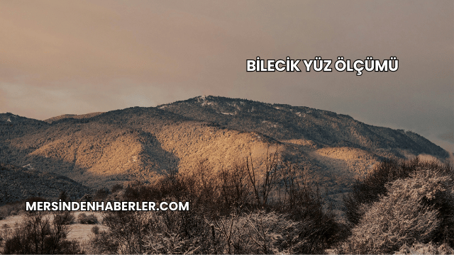 Bilecik Yüz Ölçümü