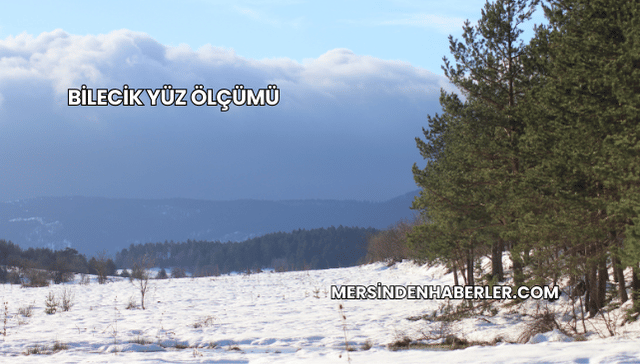 Bilecik Yüz Ölçümü