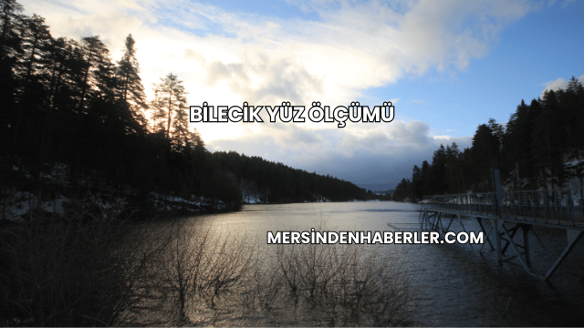 Bilecik Yüz Ölçümü