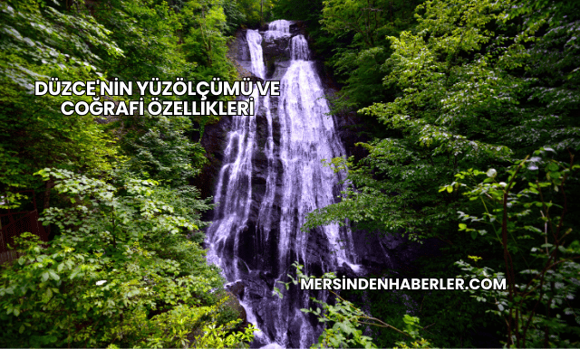 Düzce'nin Yüzölçümü ve Coğrafi Özellikleri