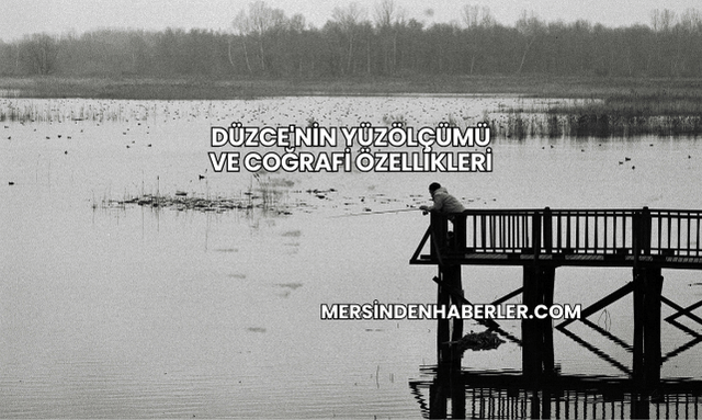 Düzce'nin Yüzölçümü ve Coğrafi Özellikleri