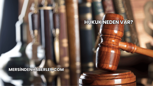 Hukuk Neden Var?