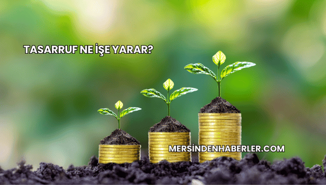 Tasarruf Ne İşe Yarar?