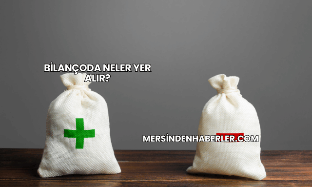 Bilançoda Neler Yer Alır?