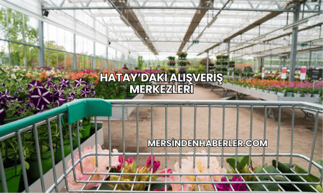 Hatay’daki Alışveriş Merkezleri