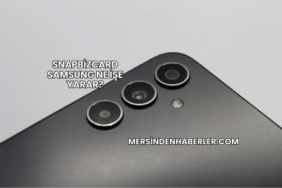Snapbizcard Samsung Ne İşe Yarar?