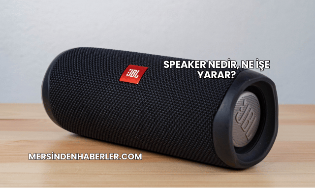 Speaker Nedir, Ne İşe Yarar?