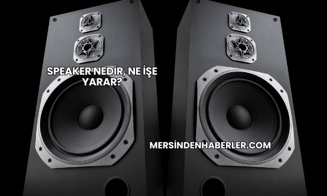 Speaker Nedir, Ne İşe Yarar?