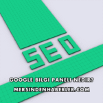 Google Bilgi Paneli Nedir?