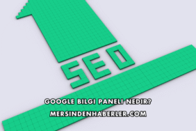 Google Bilgi Paneli Nedir?