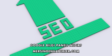 Google Bilgi Paneli Nedir?
